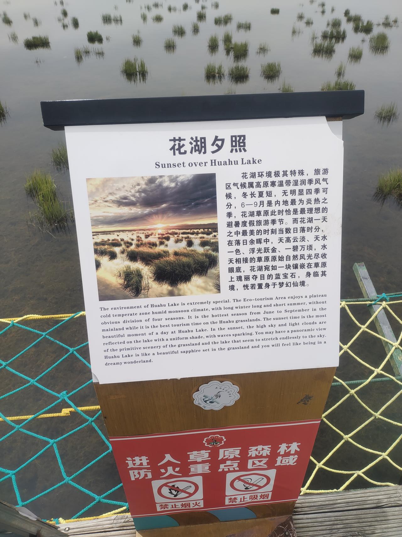 花湖吃过饭，来到了花湖风景区，遍地都是牛羊，清清的湖水，绿绿的大草原。美哉！