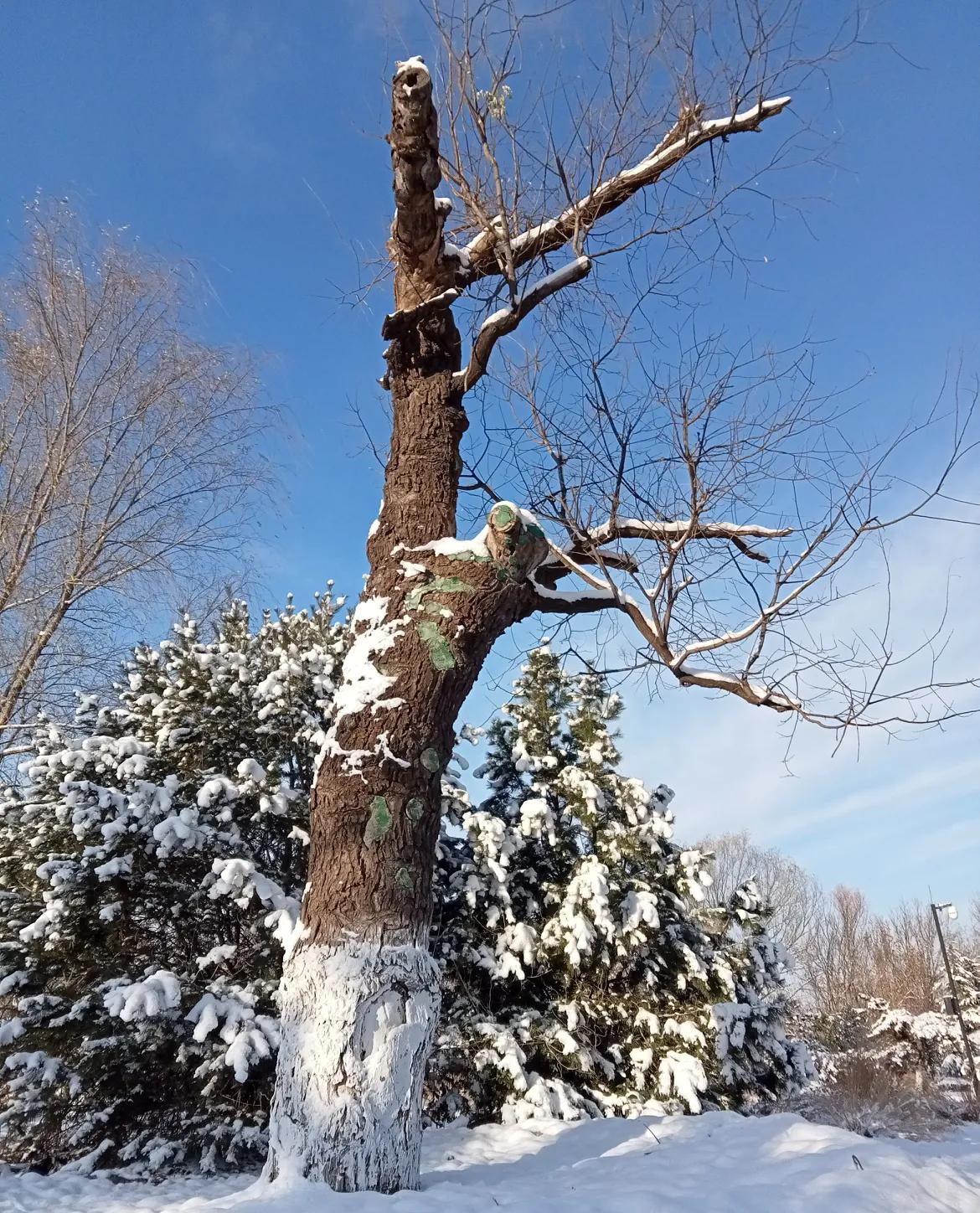 人到老年最大的悲哀是什么是行动不便，靠别人来帮助料理自己的生活，实际上就是一天天