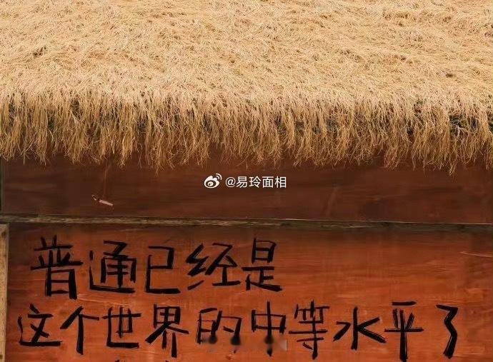 水瓶座的人独立而富有创造力，他们在爱情中展现出一种独特的创新和理解的能力。对于水