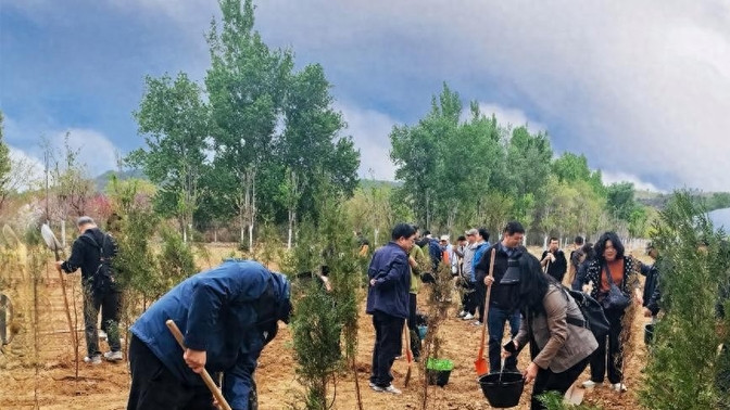 美国环保专家:沙漠种树弊大于利,中国不懂危害还自称环保大国