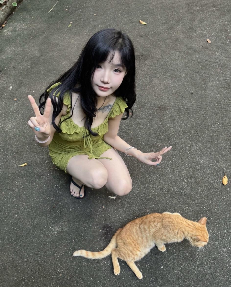 治愈系甜妹猫