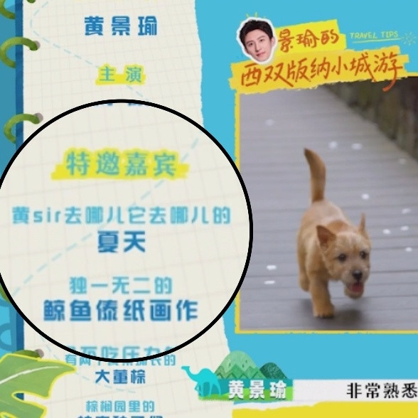 黄景瑜骑车也要带着狗因为夏天不是一般的狗夏天真的是公主是黄Sir去哪儿她去哪儿，