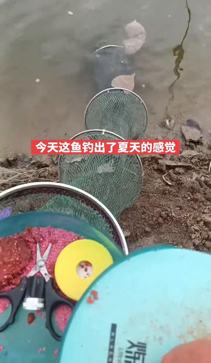 别信“冬钓没口”的鬼话了。我刚打破了这个魔咒。156条鲫鱼，外加一堆鲤鱼。