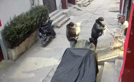“怪不得叫绝户坡！”陕西一户人家占了了1/3的村路，在家门口修了一个坡道，2月1