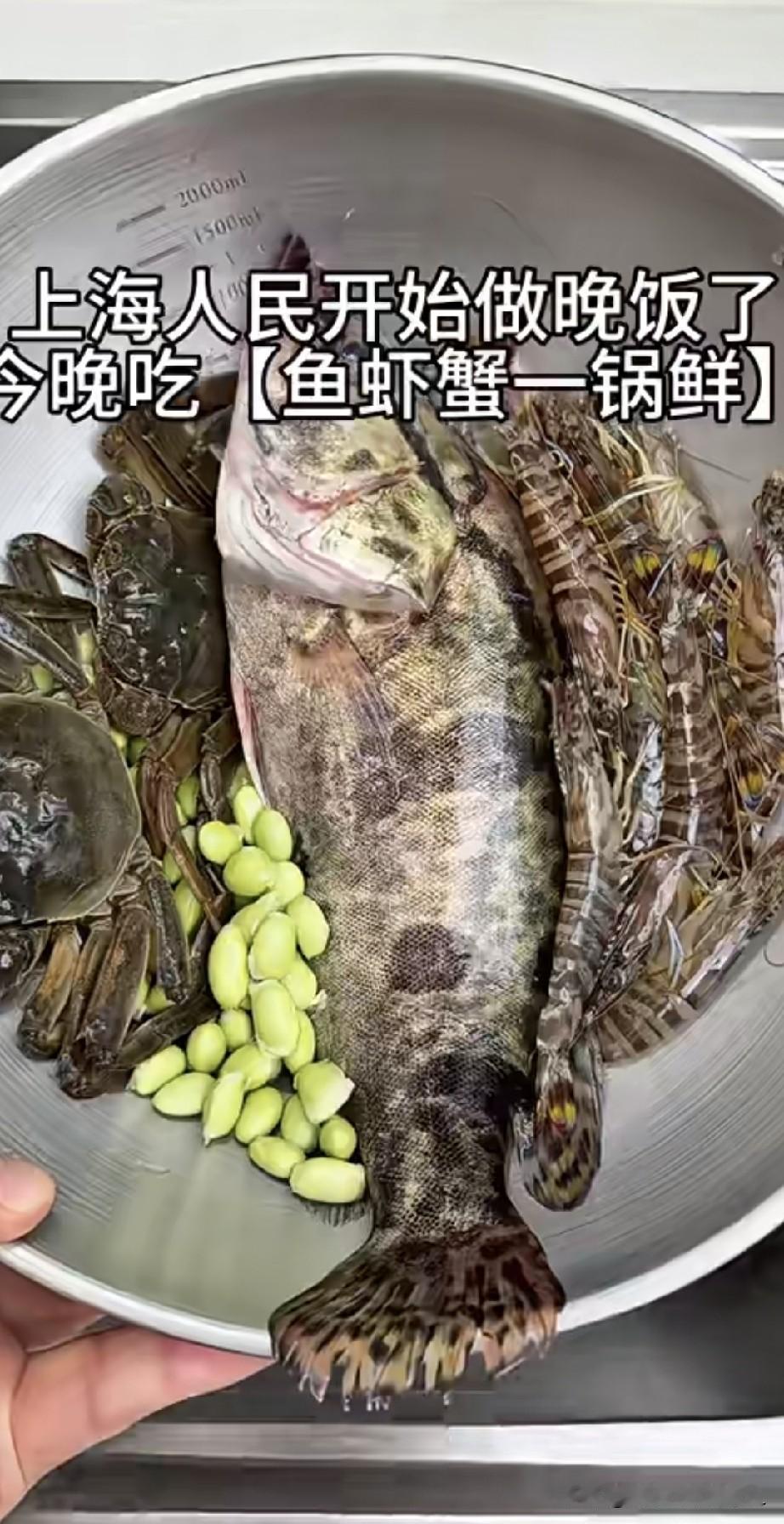 烹饪大师