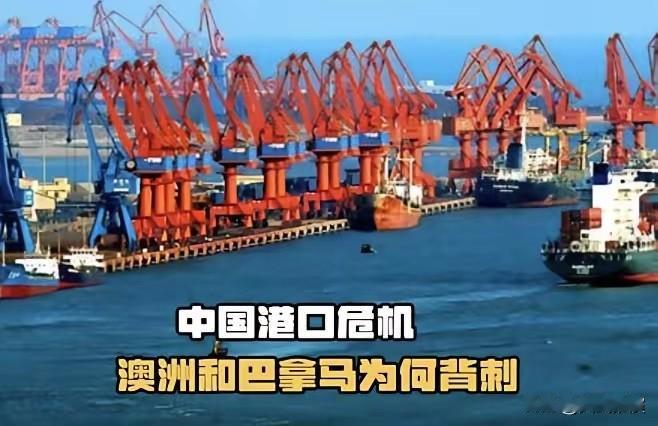 俄罗斯专家现在提出这样一个想法，现在澳大利亚跟巴拿马都要收回中国的港口，中国也可