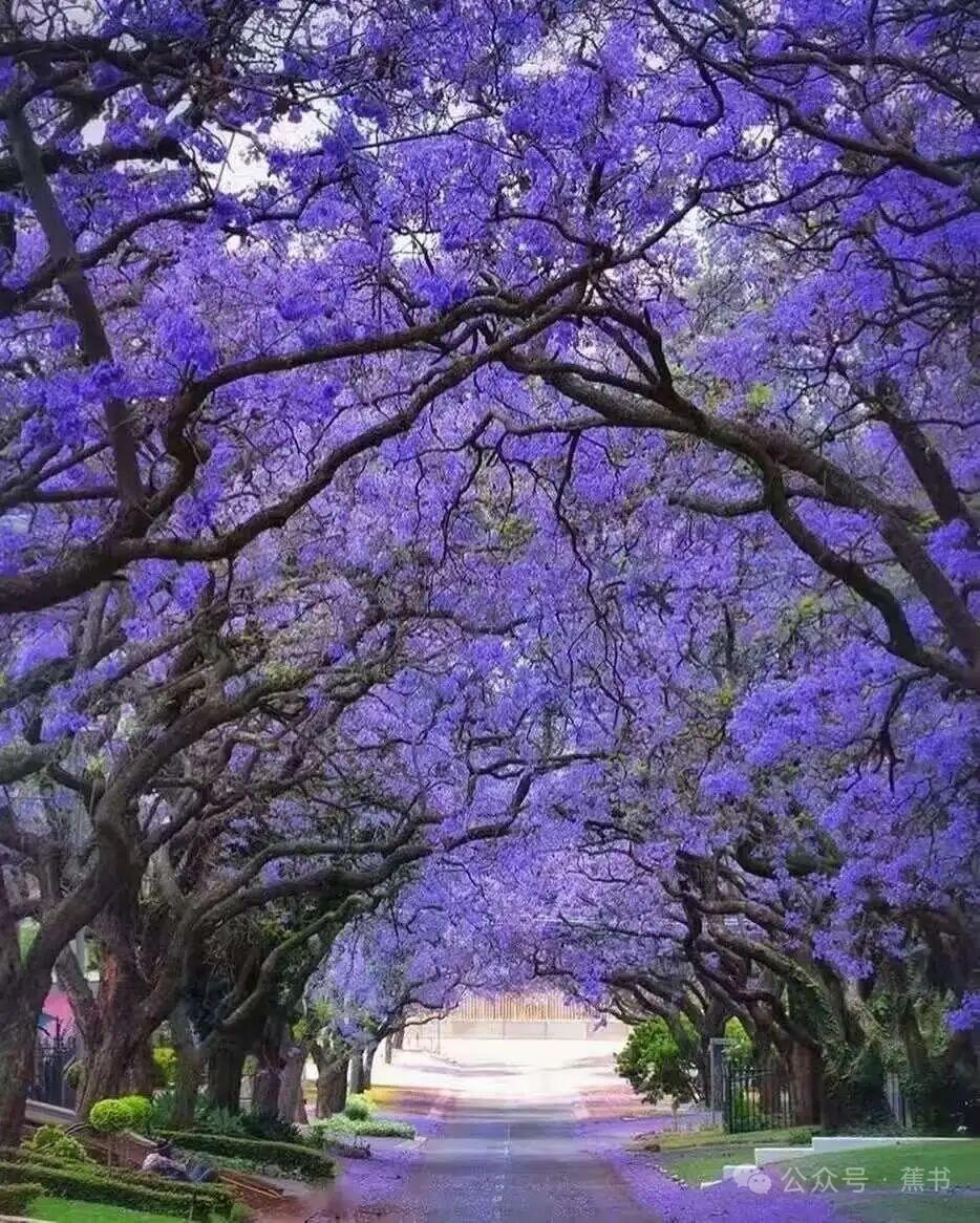 跟天蝎座相处应该注意什么？如果你跟一个天蝎相处很轻松，但是天蝎不喜欢你，在