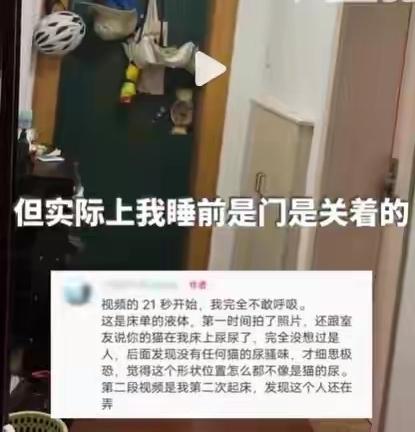 5月8日，浙江杭州。常女士夜半翻了个身，碰到床单湿漉漉的，以为是室友的猫，进入自