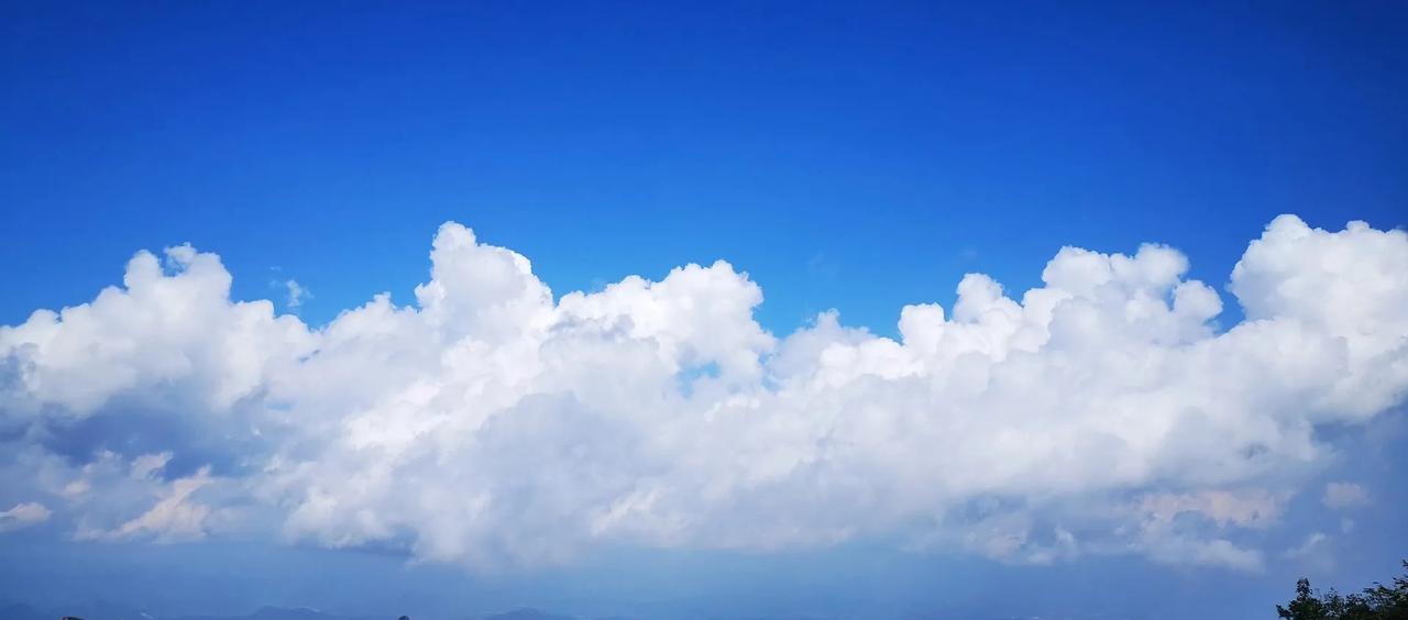 5G套餐价格大跳水！月租30元享百G流量，网友：终于等到了最近通信圈又传来好