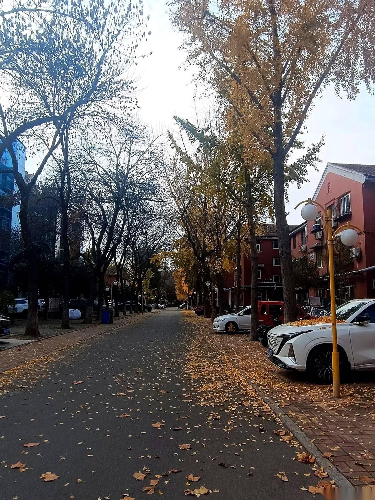 哎哟我去，济南这地方，藏着一个小区，简直就是“人间天堂”！就说以前吧，住白马山里