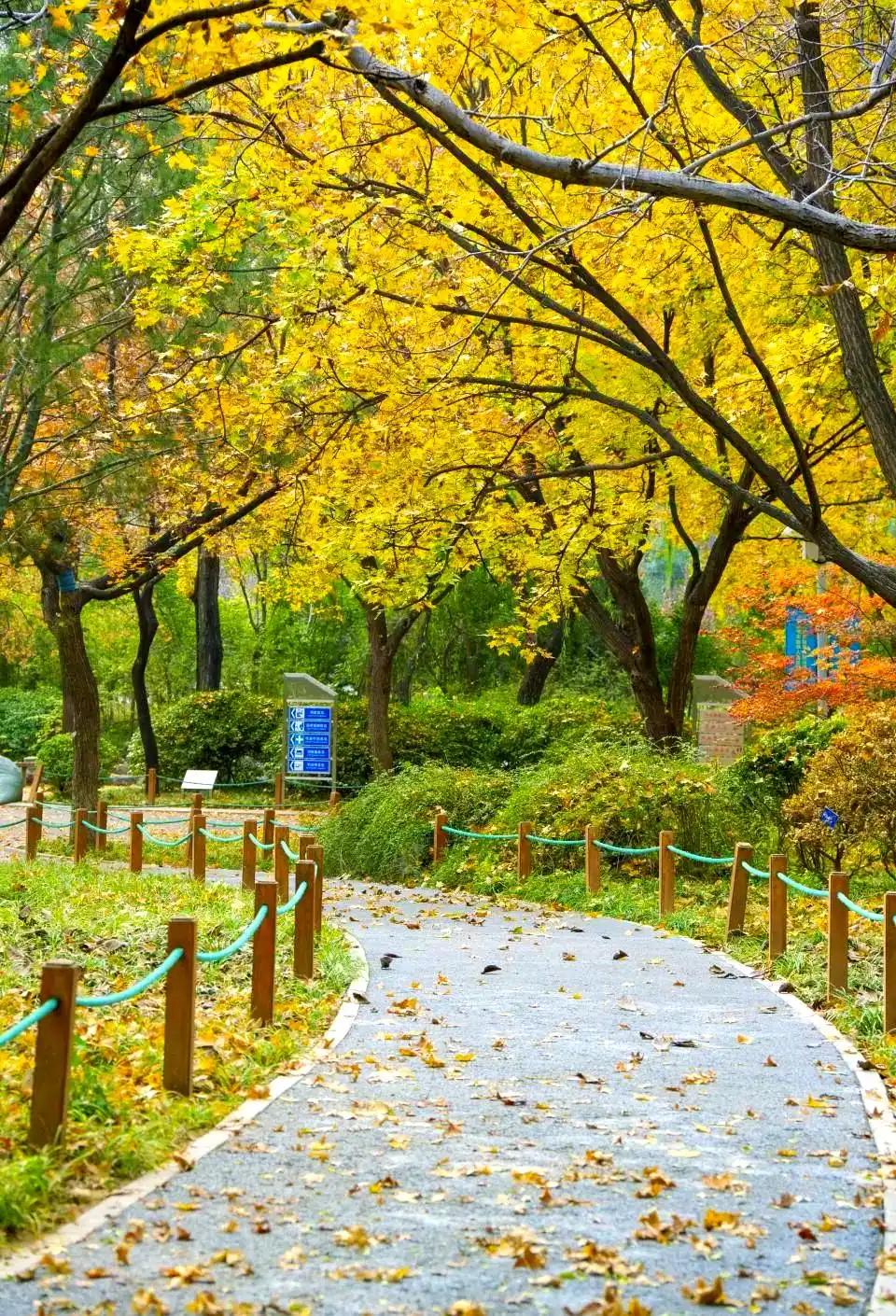 活到现在才慢慢明白，哪有什么惊天动地的人生意义，说白了，就是给家人撑起来一片遮风