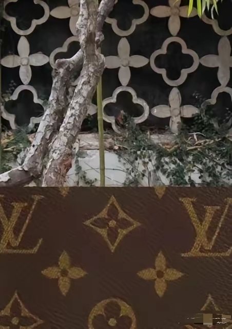 LV胜诉获赔1030万觉得吧，拙政园也可以胜诉，不仅LV，还有梵克雅宝，拙政园是