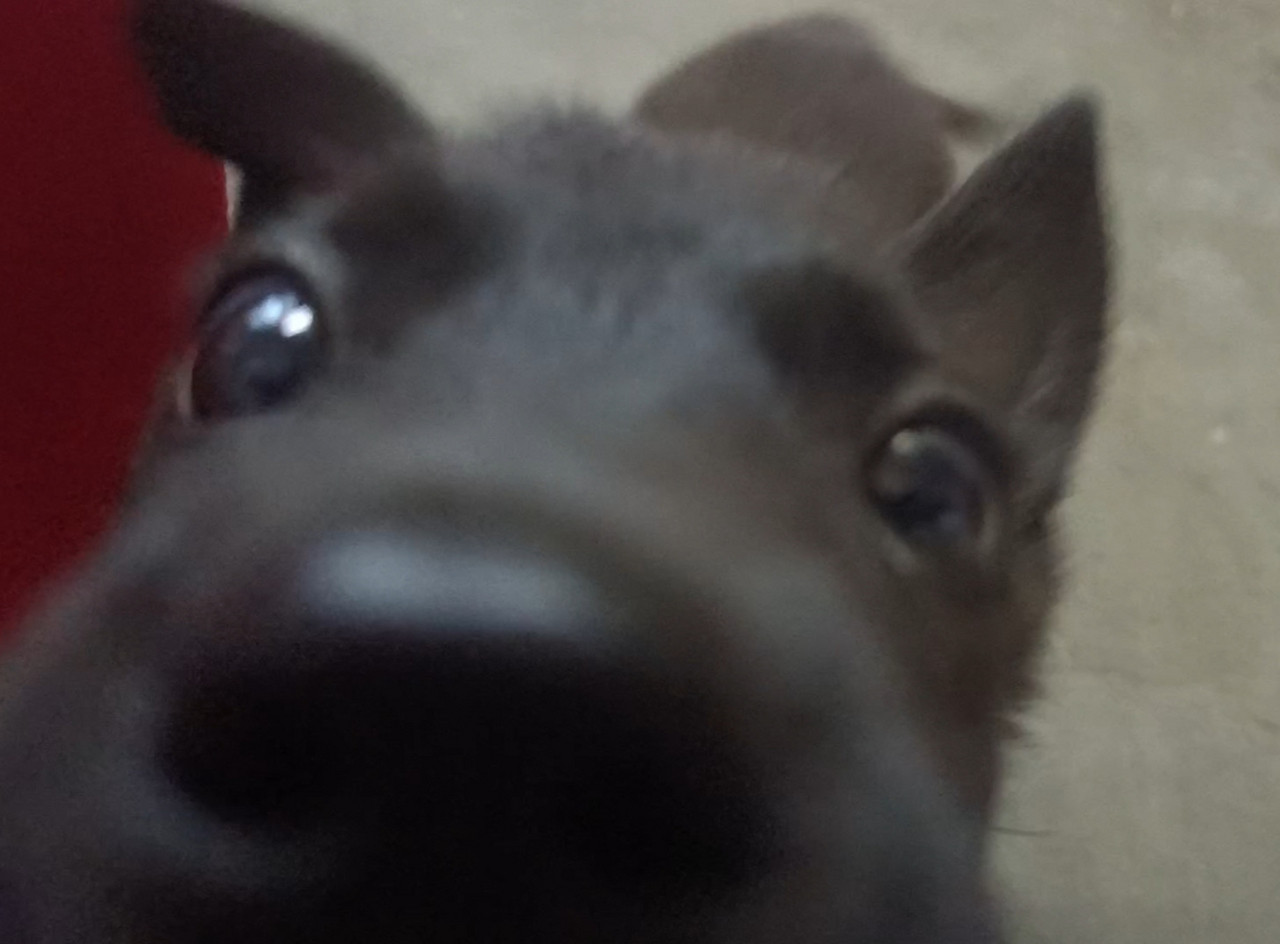 不丑，纯炫耀