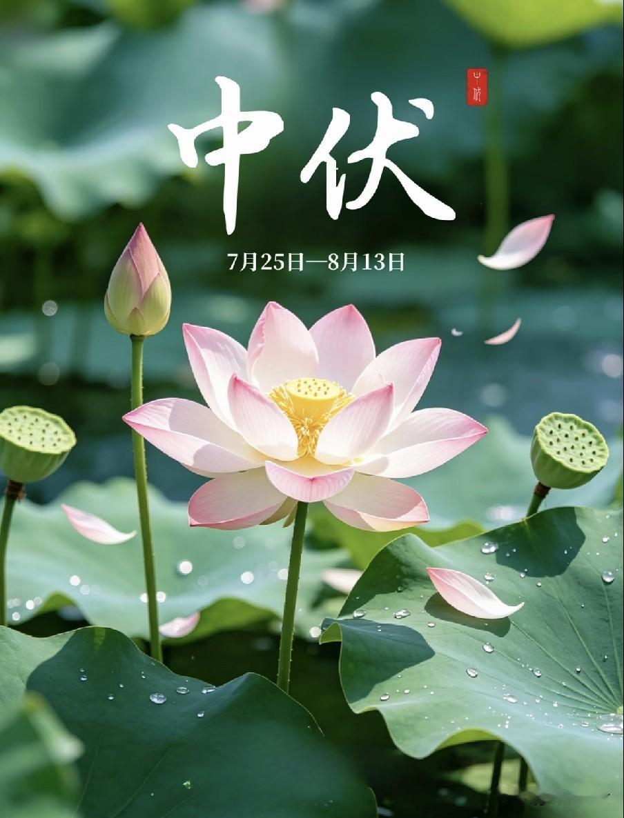 明日中伏，今年中伏“不一般”，三大特点建议早知道明日（7月25日）我们将正