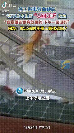 “人工吹氧”！广东江门，因为施工家里停电了，鱼缸里就无法打氧了，男子担心没有氧鱼