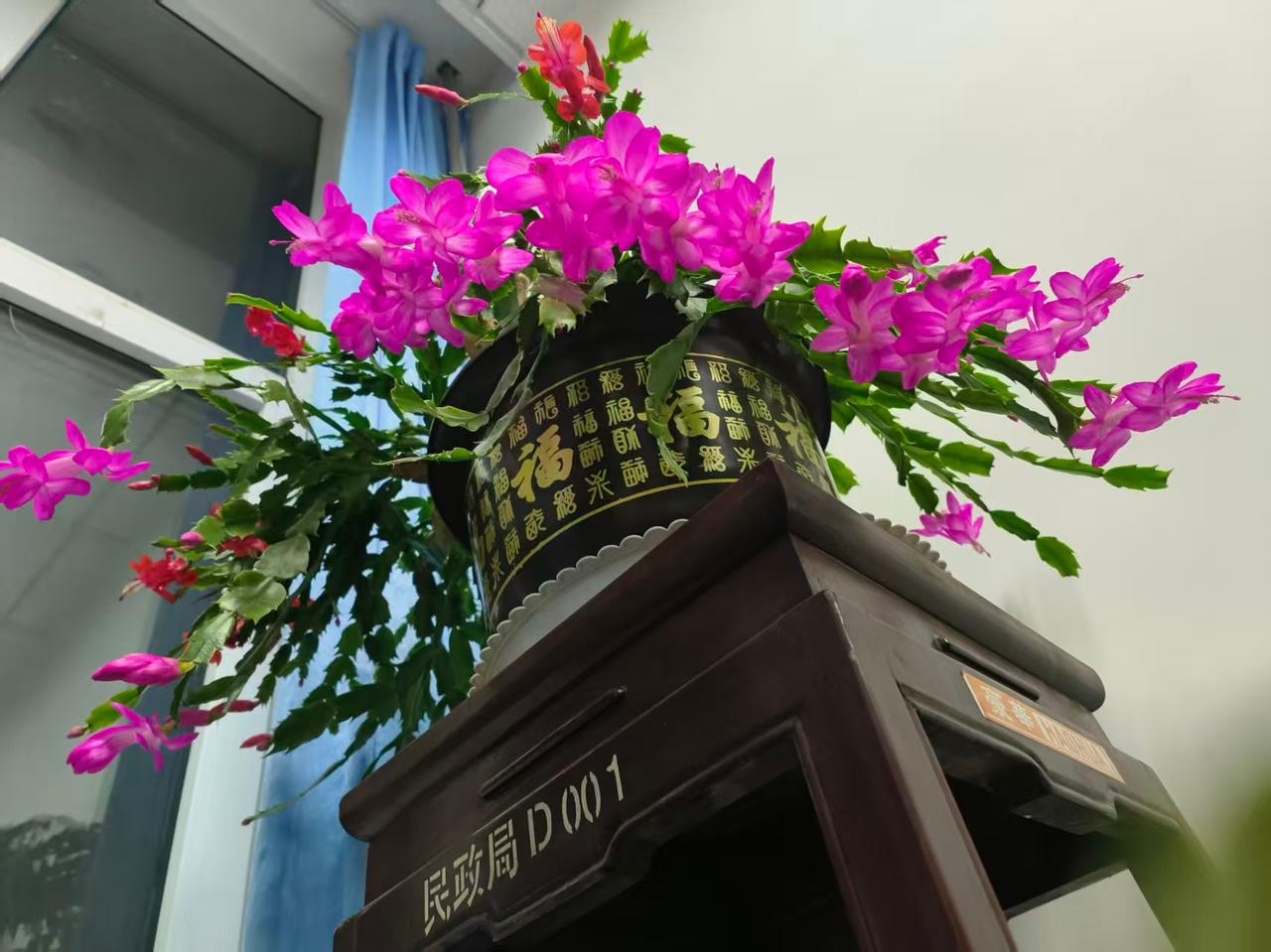 做人不要太过张狂！我村有一户大户人家，老太太专横跋扈，待人刻薄刁钻。她家经营