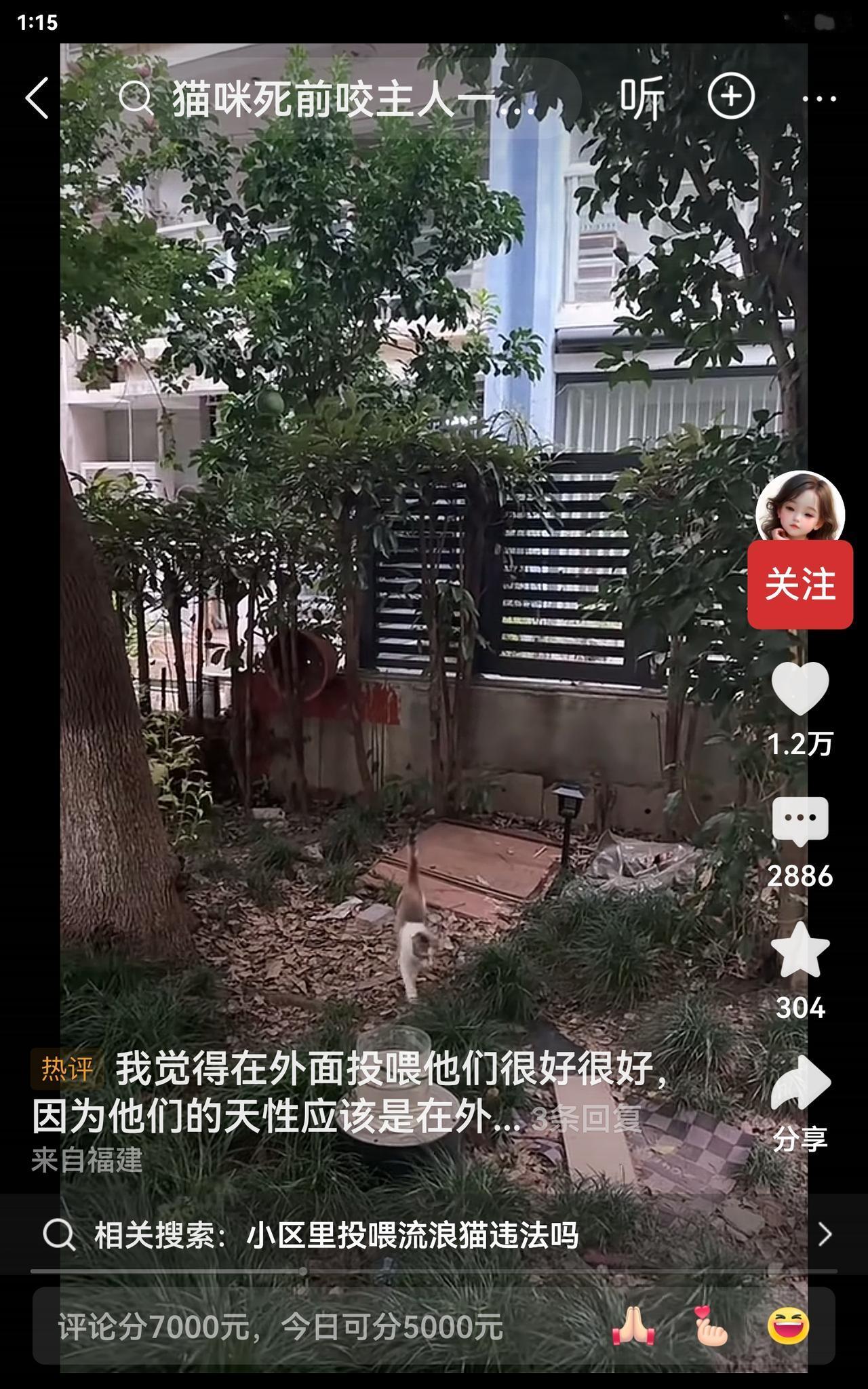 我们小区一旦发现有人喂流浪猫，就会叫物业来处理，更别说盖猫窝了。小区喂猫一直是个