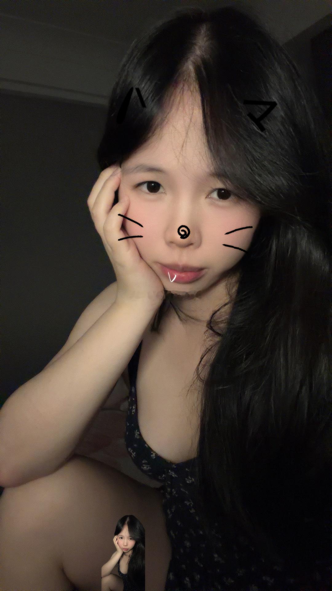 我是小猫咪我的澳大利亚哥哥去哪了