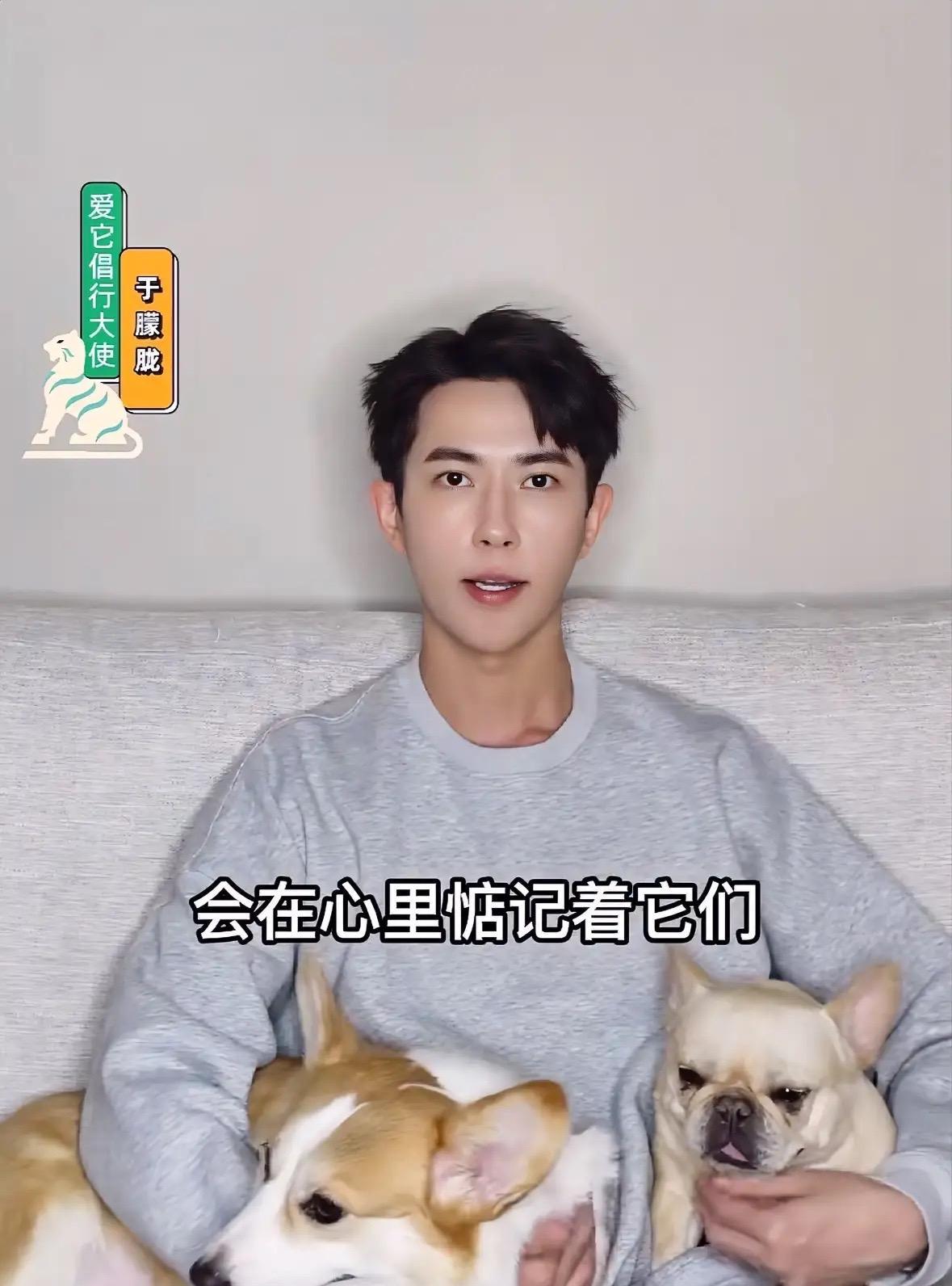 原来，于朦胧还养了两条狗，它们的名字叫福丽和火腿。现在两只狗狗还在等着主人回家