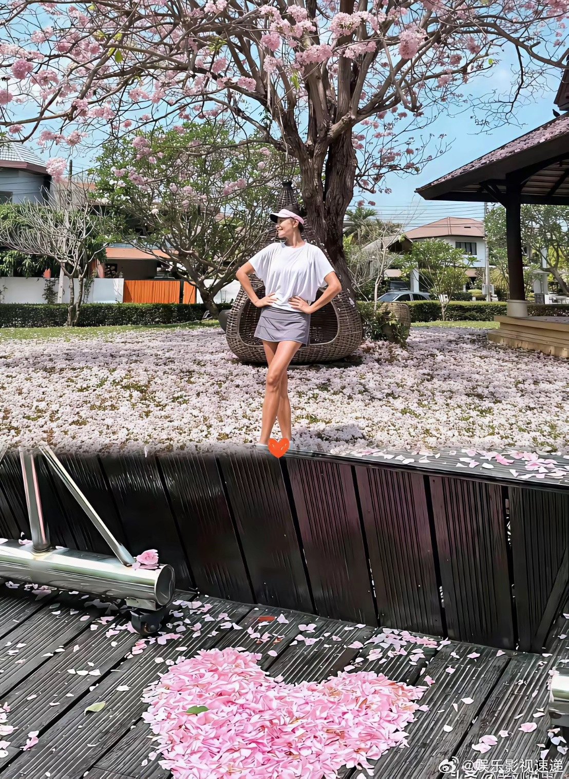 53岁，37年交情。胡兵在瞿颖那条风铃花动态底下，就回了十个字：“想怎么开就怎么