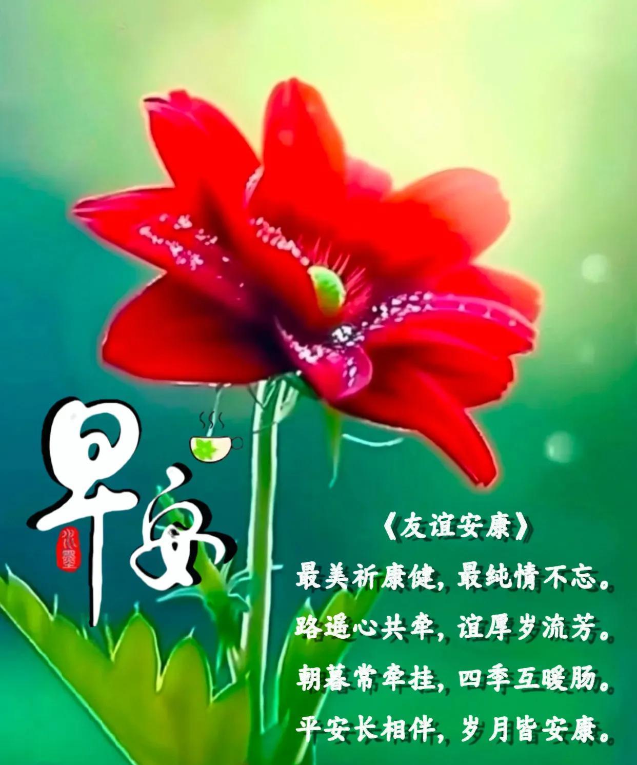 朋友：早安！《友谊安康》最美祈康健，最纯情不忘。路遥心共牵，谊厚岁流芳。