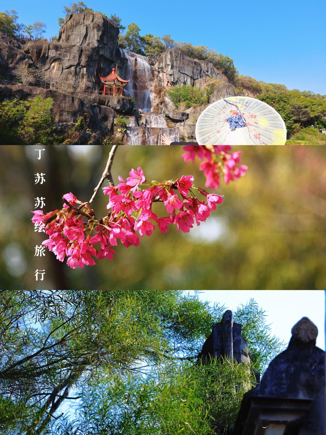 福州市区公交直达瀑布和樱花🌸春节限定‼️今天有朋友在聊说来福州旅游，哪里人少
