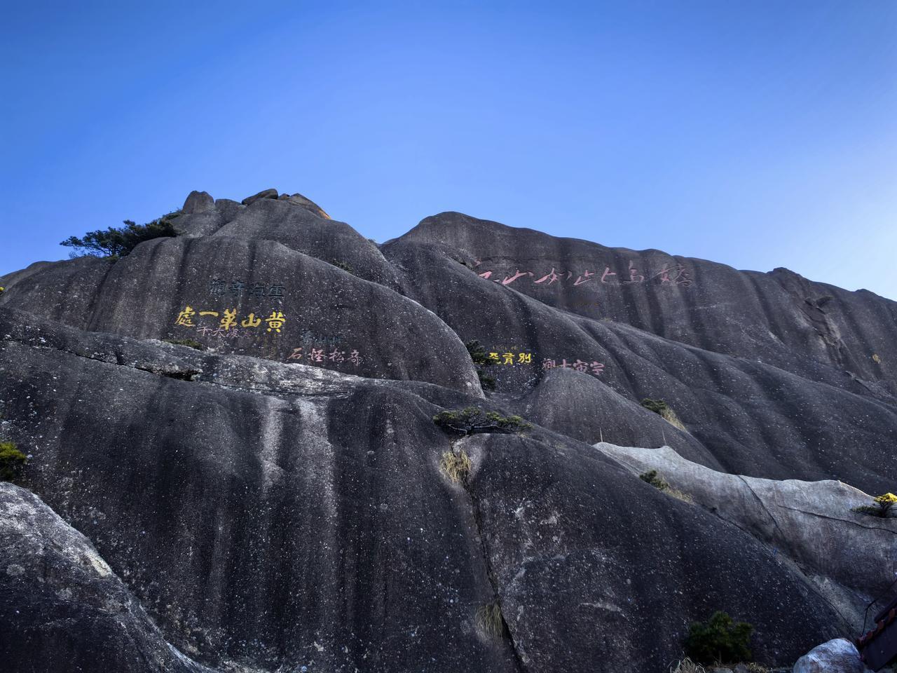 🌷🌷爬山时腿在抗议，登顶后眼在天堂。黄山的魅力就在于，身体在地狱，