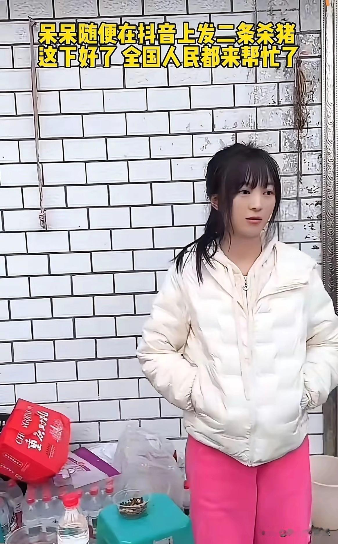 呆呆最感谢的应该是他的爸爸妈妈，是她的爸爸妈妈喂的这两头猪，才让她扬眉吐气了一回