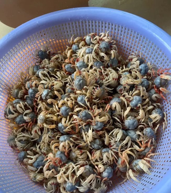 这特殊美食叫什么？应该怎么做才好吃？大家知道吗？