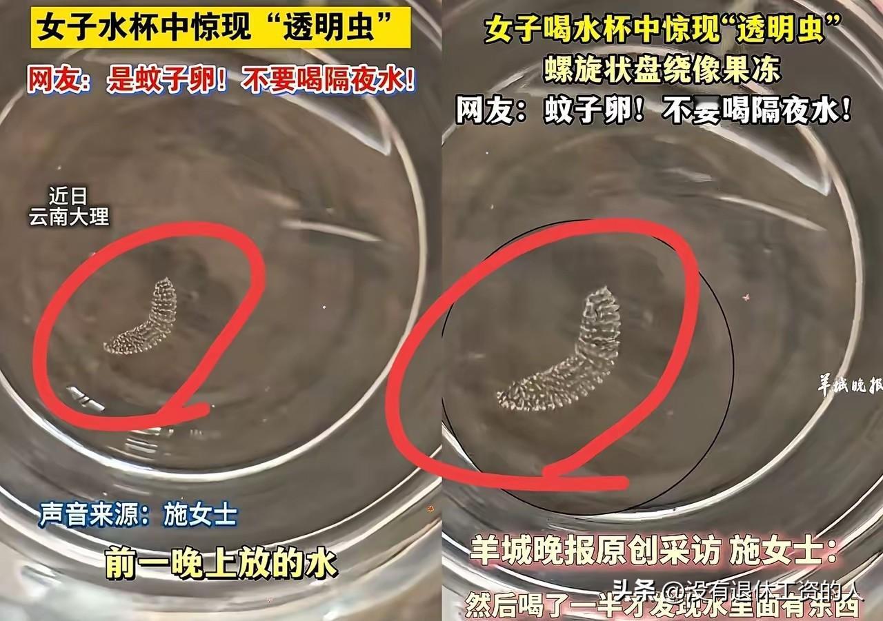 喝下去了才觉得恶心！一女子在睡觉的时候，忘记盖上水杯的盖子。第二天起来准备喝