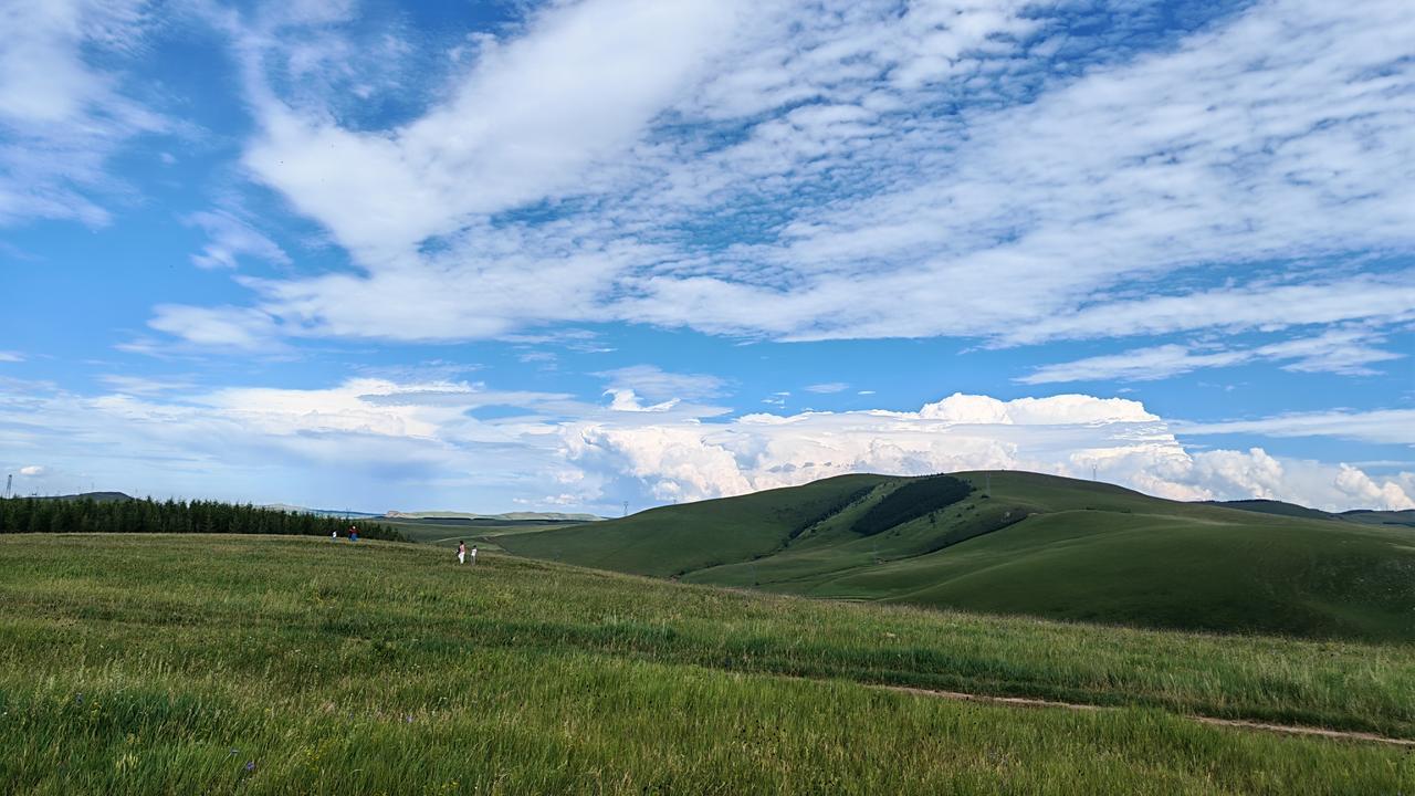 上周自驾去了呼伦贝尔，车刚开过牙克石那段盘山道，眼前突然撞进漫无边际的绿，连风都