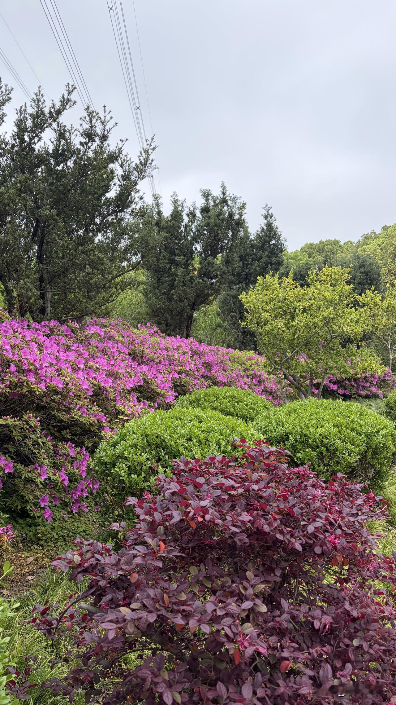 最近几年，才越来越明白，能睡个好觉是一件多么幸福的事。我三十多岁的时候，睡