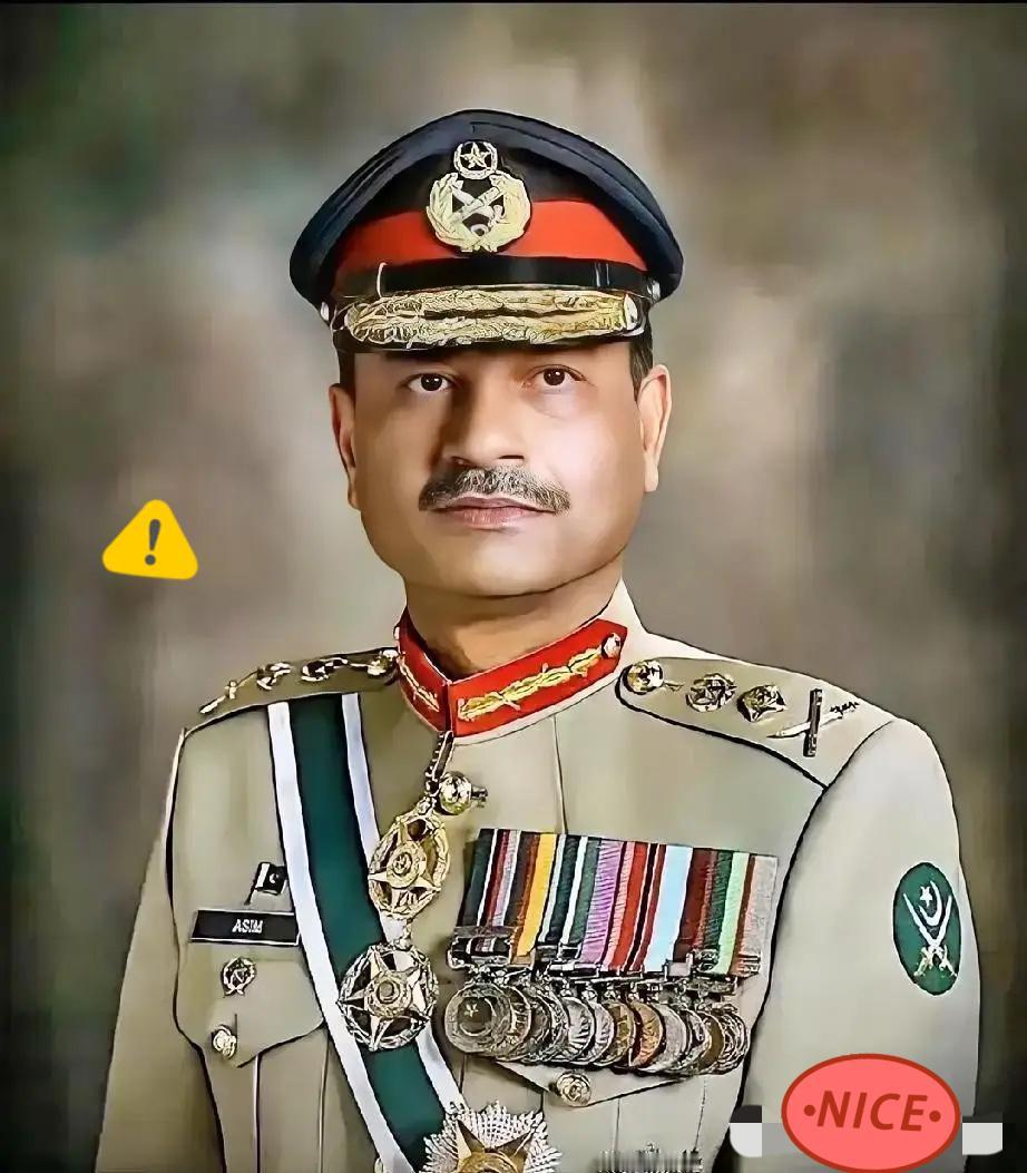 就在刚刚，巴基斯坦突然宣布了。2025年11月9日，巴基斯坦新闻与广播部长阿