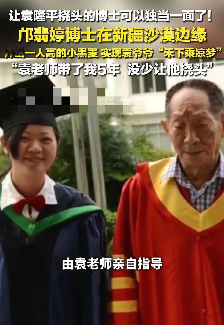 宗门圣女啊！那个让袁隆平急得直挠头的姑娘，现在在新疆沙漠里种出了比人还高的麦子。