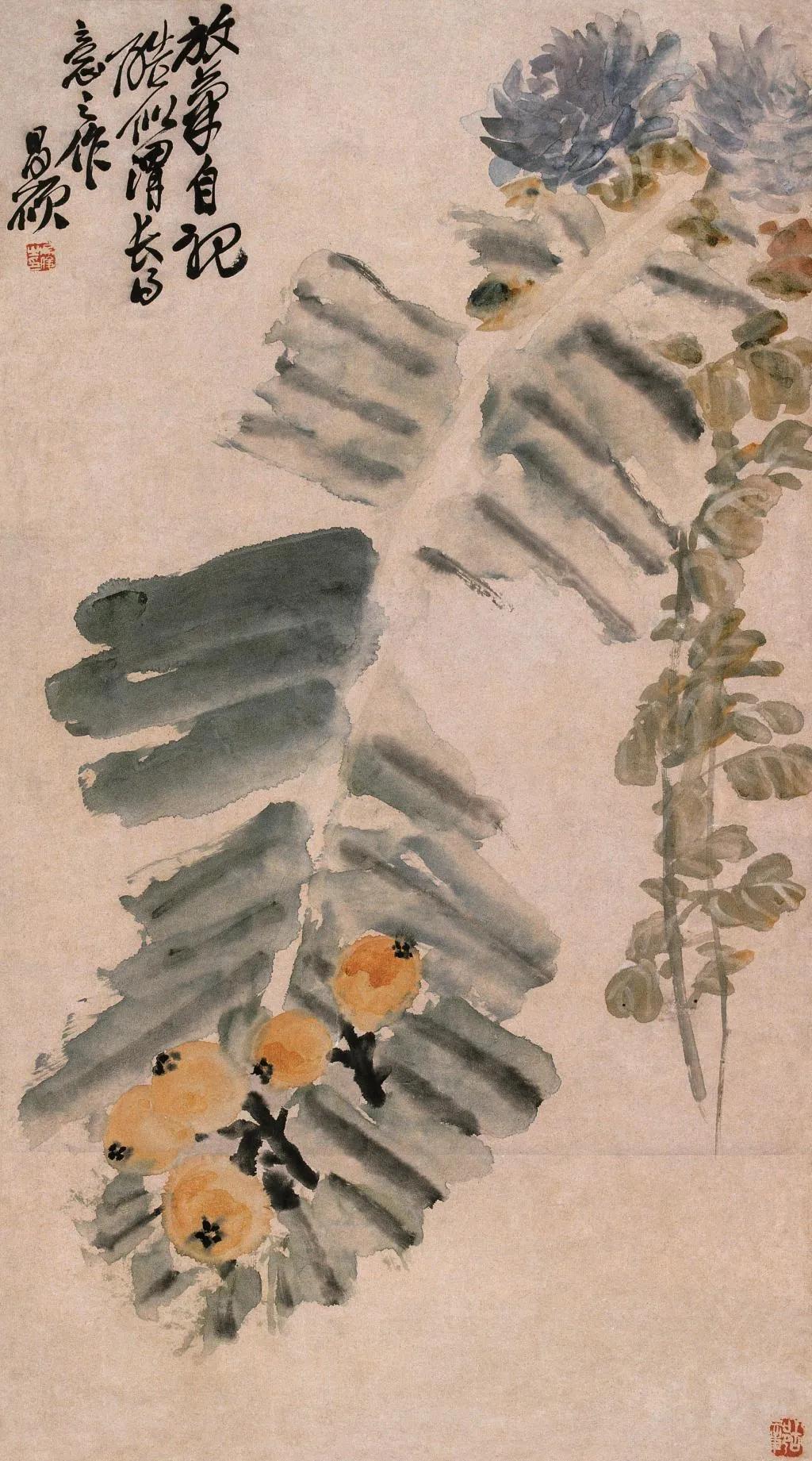 清末民初画家吴昌硕笔下的枇杷《芭蕉枇杷图》：这幅《芭蕉枇杷图》打眼一看，芭
