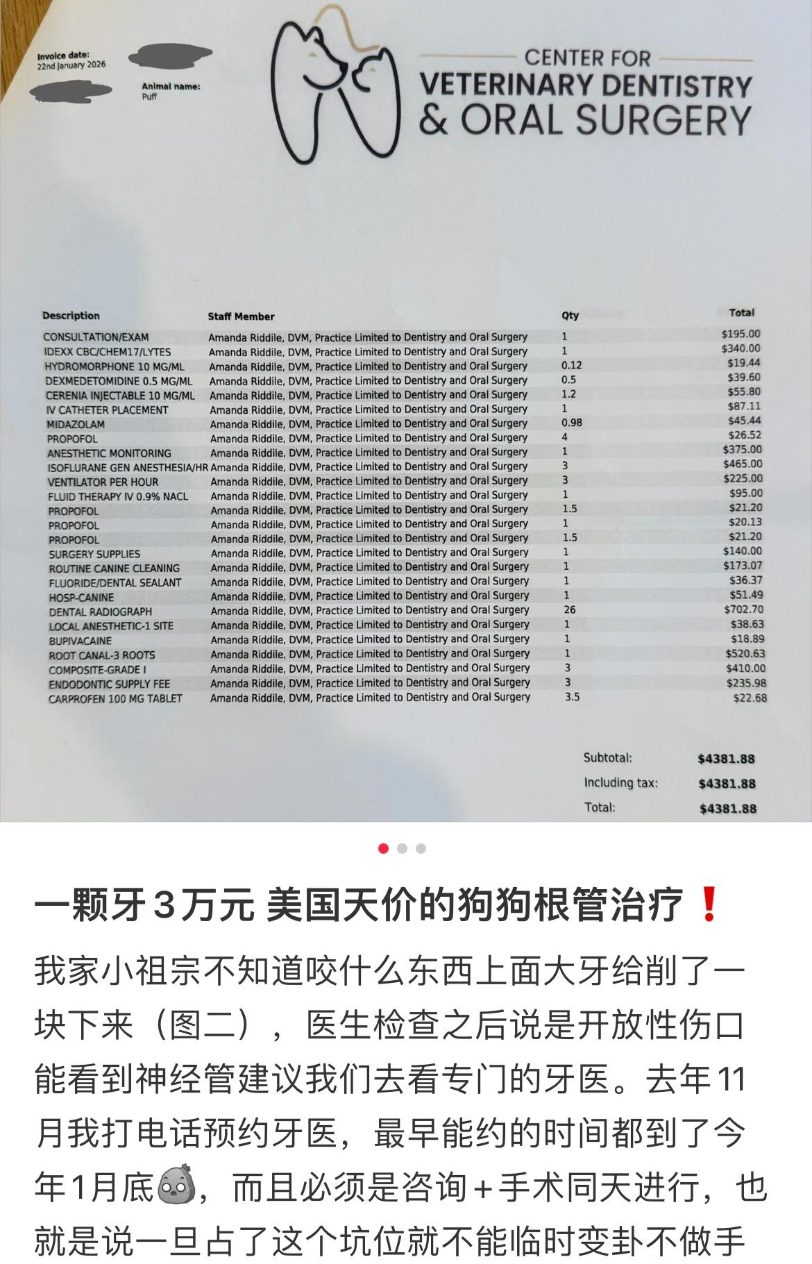 我们都知道美国天价医疗，没想到宠物医院也是个无底洞的坑，只是给狗做了一个根管治疗