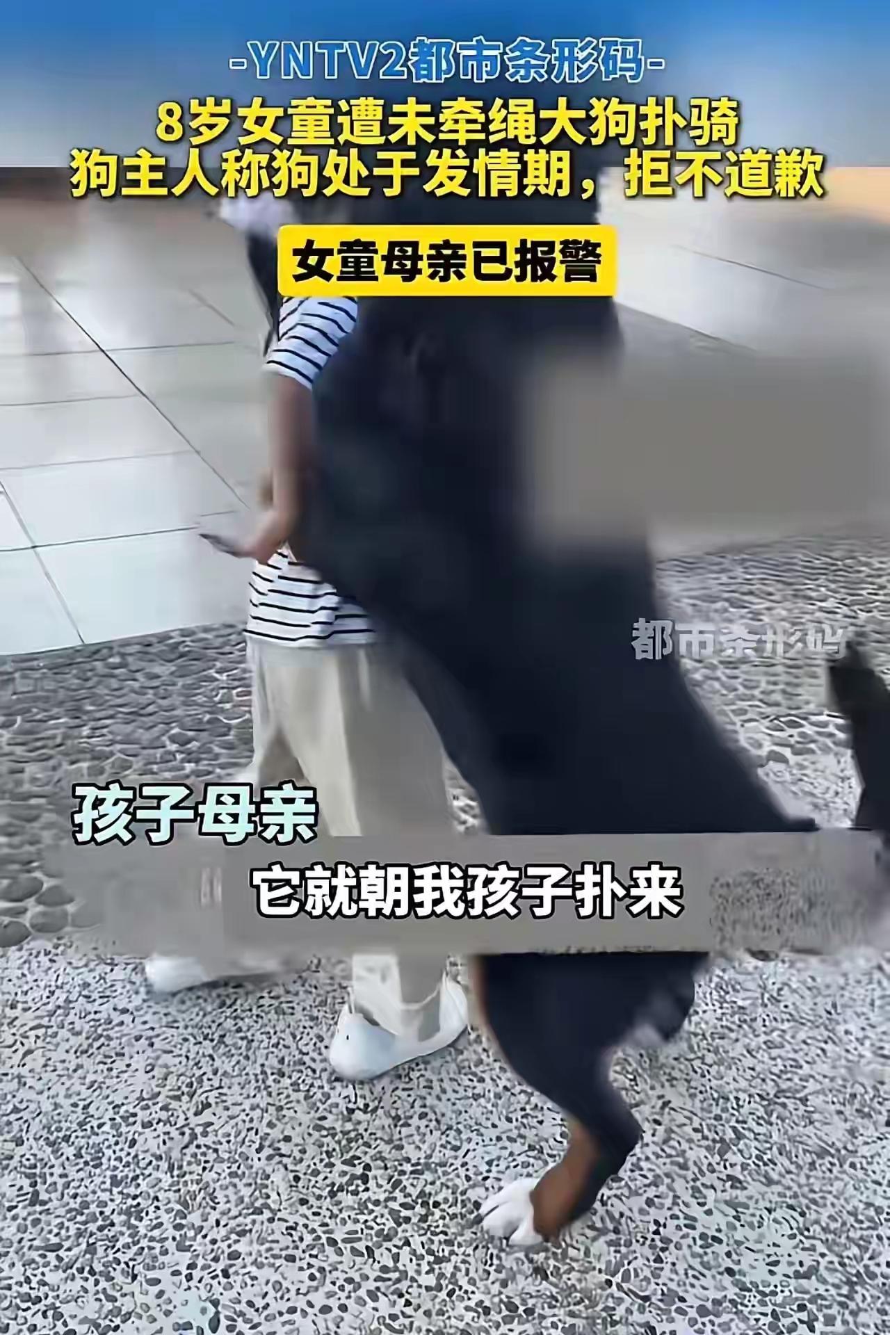 狗主人比这条大狗苟蝇营！22岁狗主人遛狗不栓绳，女孩和妈妈被大狗的突如其来的
