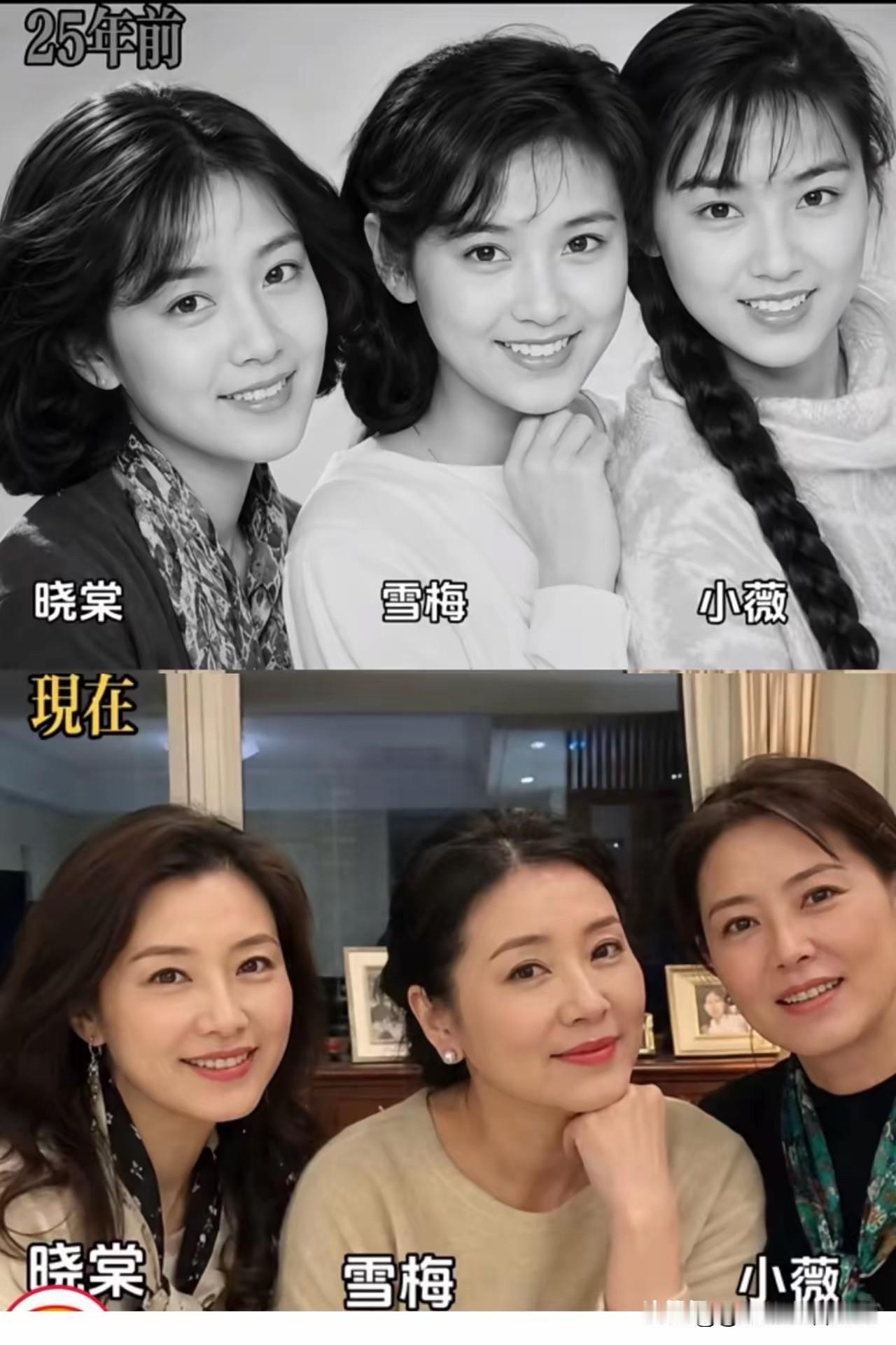25年前青涩，单纯，天真。25年后成熟，靓丽，更有风韵。