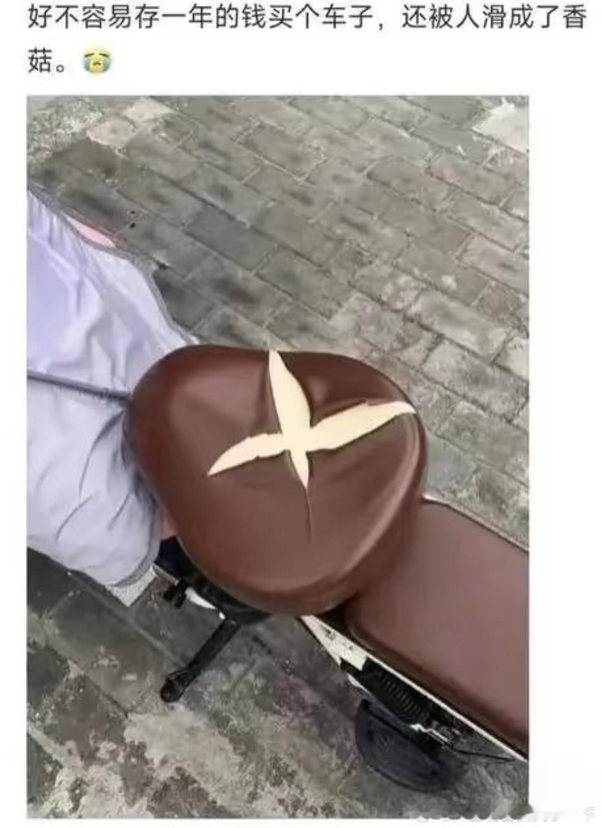 5251我的香菇啊不我的车垫​​​