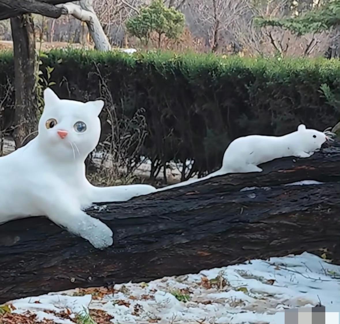 开封新新幼儿园附近公园，一副猫捉老鼠的雪雕，吸引了一只真猫，妙趣横生。不知道是哪