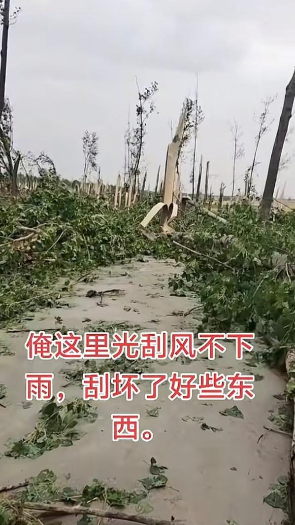 一不小心就被刮到了江苏