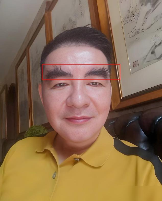 陈光标那两撮眉毛，简直就是现实版的“慈善进度条”。标哥最近在直播里亲自认证，