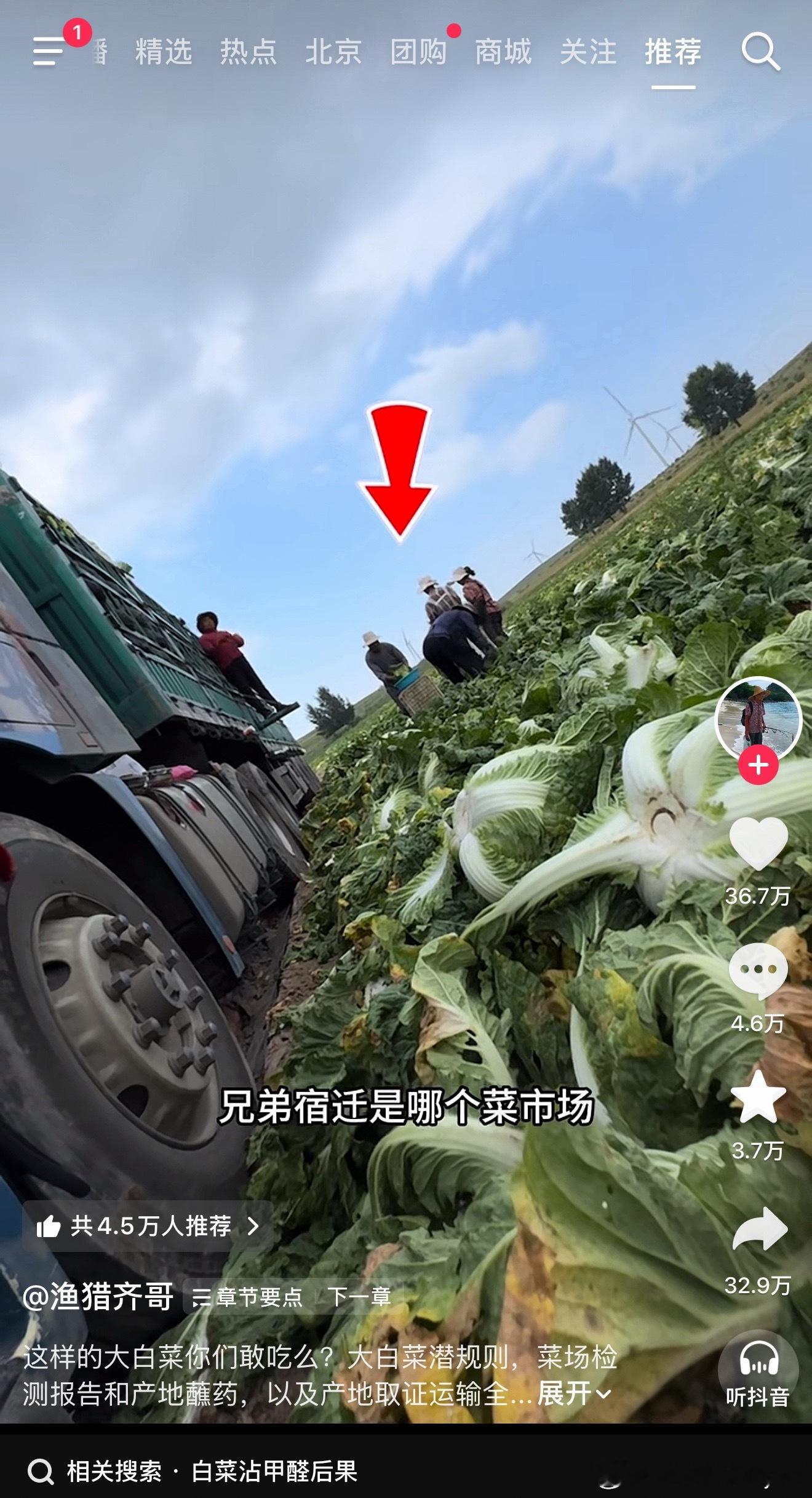 白菜蘸甲醛“白菜蘸甲醛”——这四个字放在一起，太刺眼了。白菜是多家常的蔬菜啊，冬