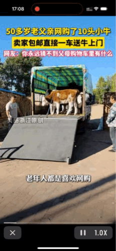 “购物车里有十头小牛，还包邮送到家”真是只有想不到，没有做不到啊！辽宁，一位