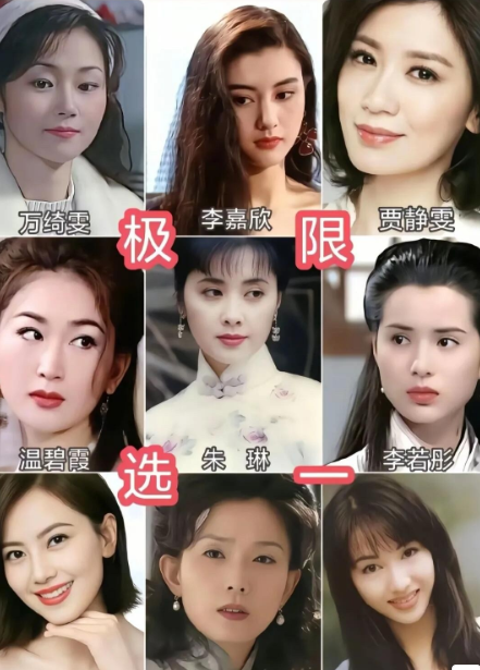 这里面最漂亮的当属贾静雯，毫无疑问，当之无愧的大美人，比其他几位女明星有气质。她