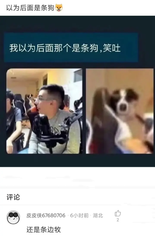 我以为后面那个是条狗。