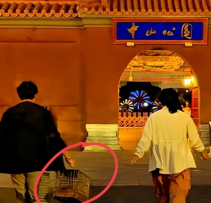 之前在天安门哨兵脚边的小橘猫，最近被故宫收编了，宫猫小姐姐给它下笼子带回了故