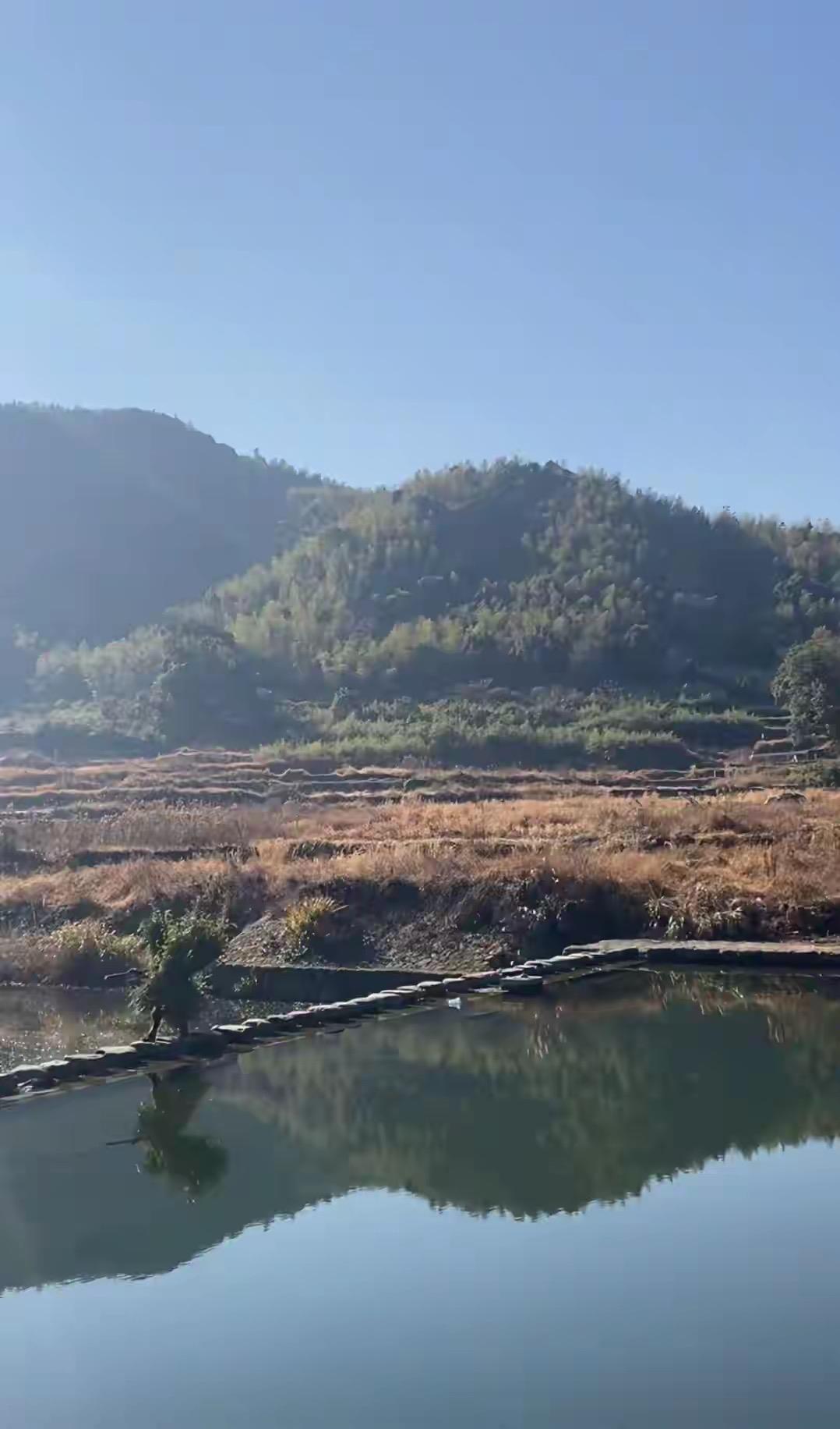 30岁女生辞职疯了？骑电动车从上海回南宁，3000公里穿越4省30岁，辞职，