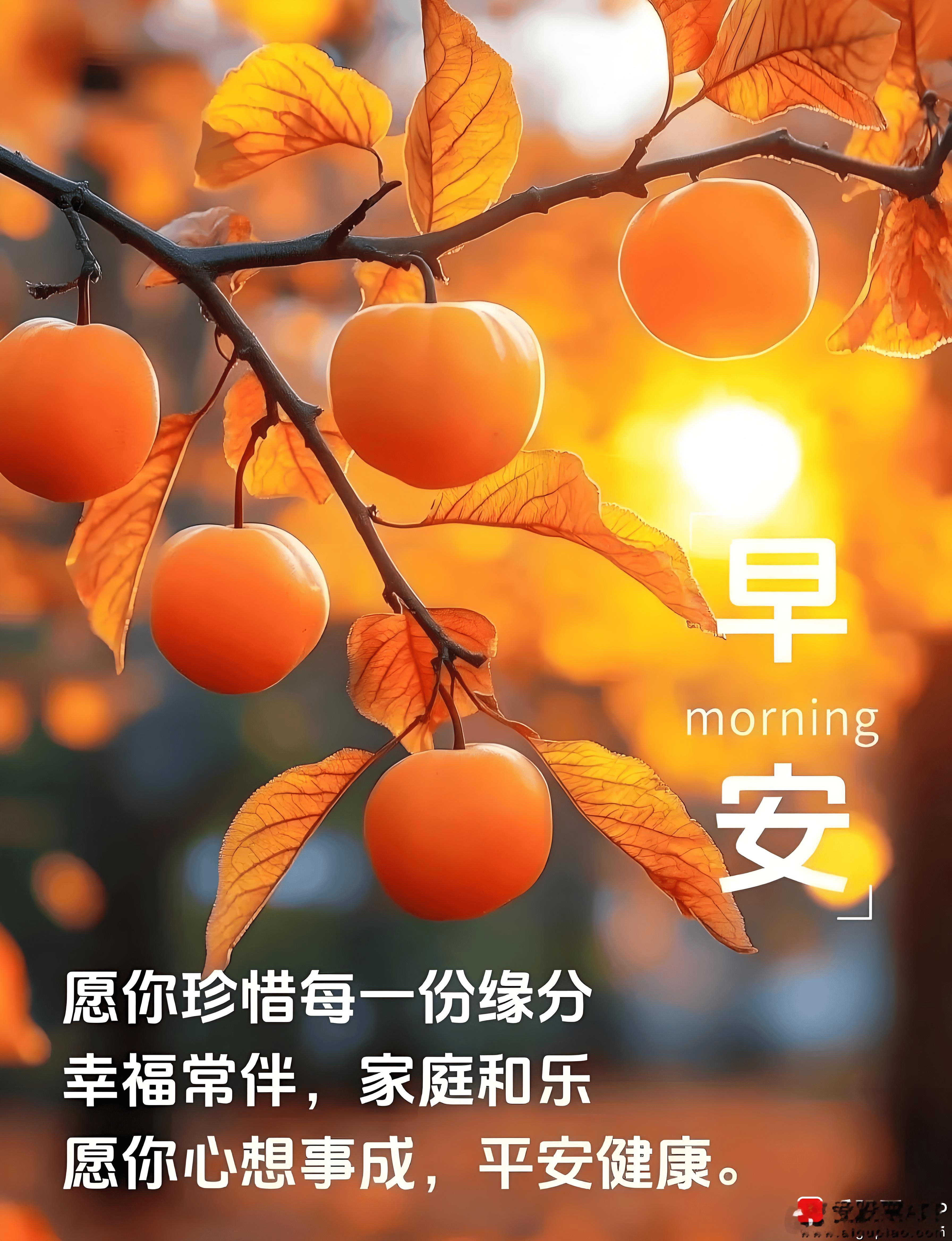 大家早上好；早盘解析和早盘备选还没有解锁成功，大家速度加