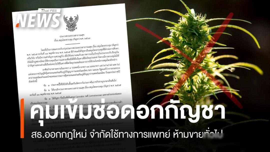 大麻合法三年后，泰国人后悔了，政府自己打脸2025年6月，泰国政府忽然改变说法